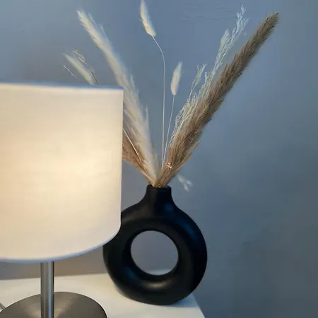 Wohlfühl - Wohnen Auf Zeit - Netflix Apartamento